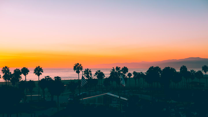 Image of Nature, Outdoors, Sky, Sunset, Tree, Sunrise, Scenery, Palm Tree, Cityscape, Urban, Silhouette, Horizon, 