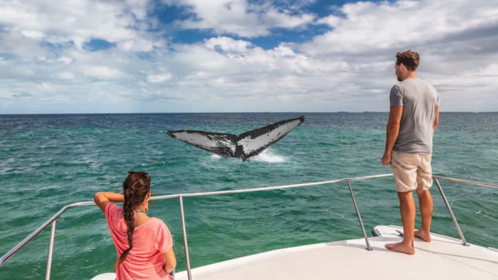 Image of Shorts, Child, Female, Girl, Person, Adult, Male, Man, Animal, Mammal, Sea Life, Whale, Back, Nature, Outdoors, Sky, 