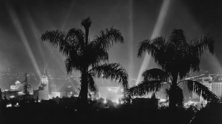 Image of Lighting, Plant, Tree, Palm Tree, Nature, Night, Outdoors, Concert, Crowd, Person, City, Metropolis, Urban, Light, Silhouette, 