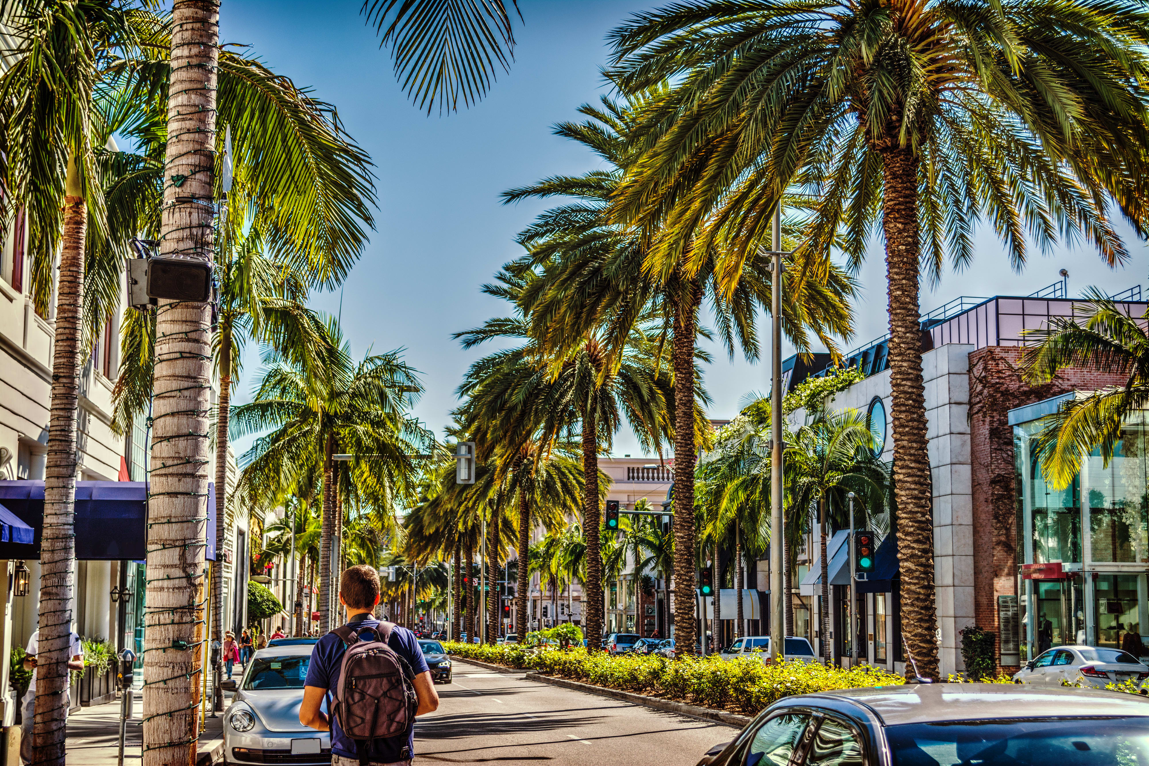 Image of Summer, Backpack, Bag, Adult, Male, Man, Person, Tree, Palm Tree, Car, Vehicle, Traffic Light, City, Garden, Nature, Outdoors, Path, Sidewalk, 