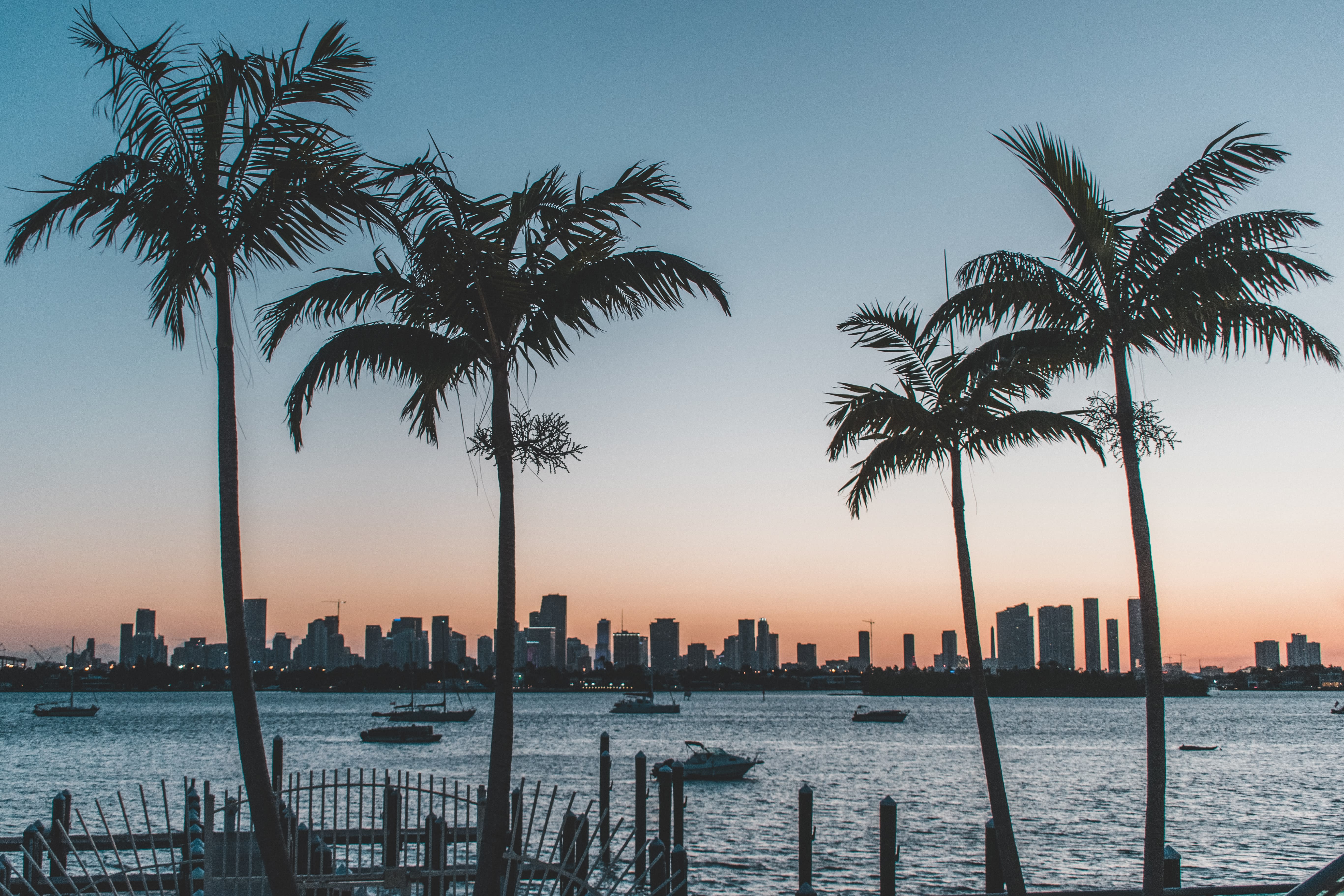 Image of Water, Waterfront, Palm Tree, Tree, Summer, City, Cityscape, Urban, Nature, Outdoors, Sky, Scenery, Boat, Vehicle, Landscape, Metropolis, 