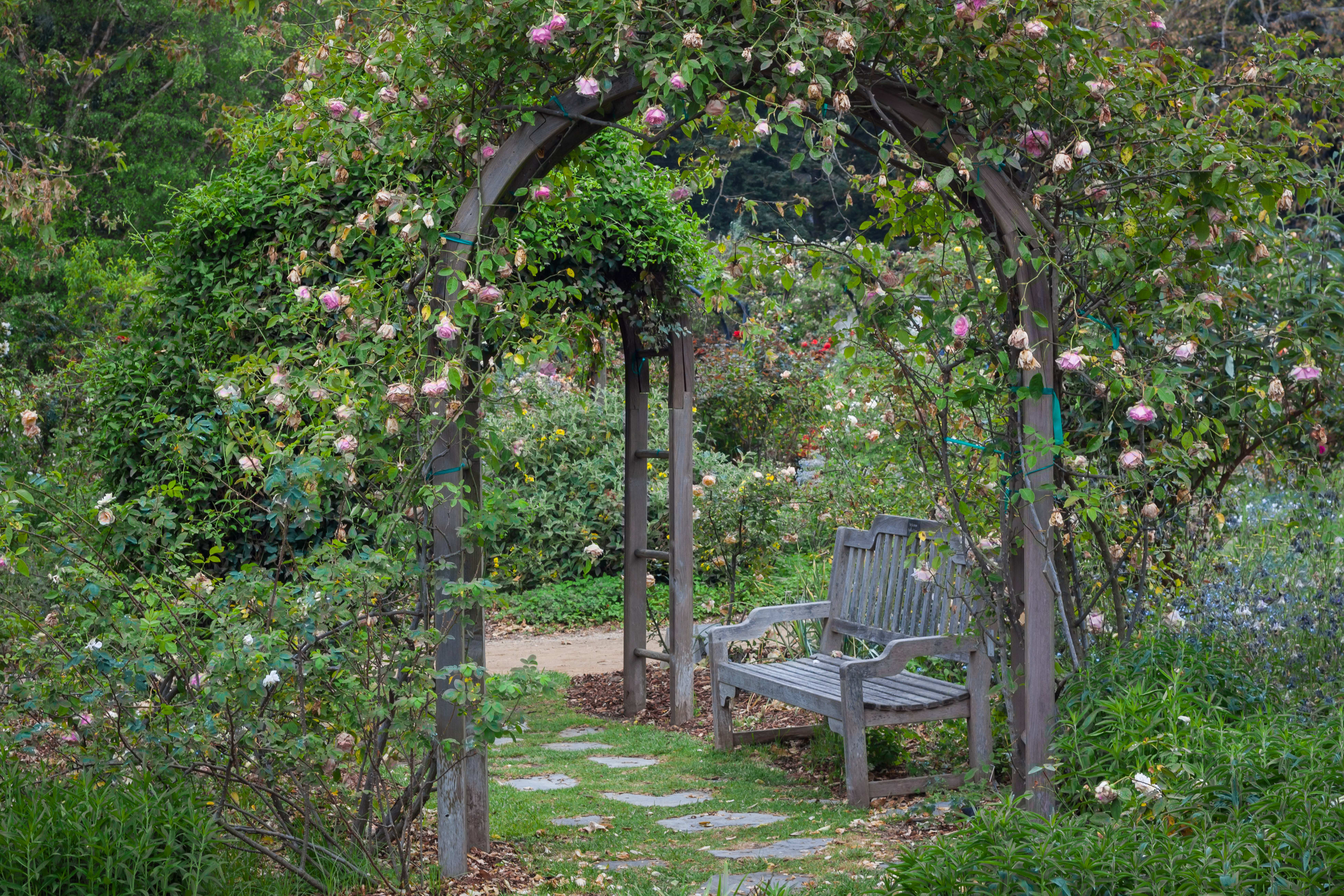 Image of Arbour, Garden, Nature, Outdoors, House, Housing, Porch, Patio, Bench, Furniture, Pergola, 