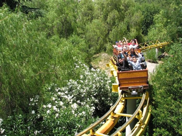 Image of Amusement Park, Vegetation, Fun, Roller Coaster, Baby, Person, Adult, Male, Man, 