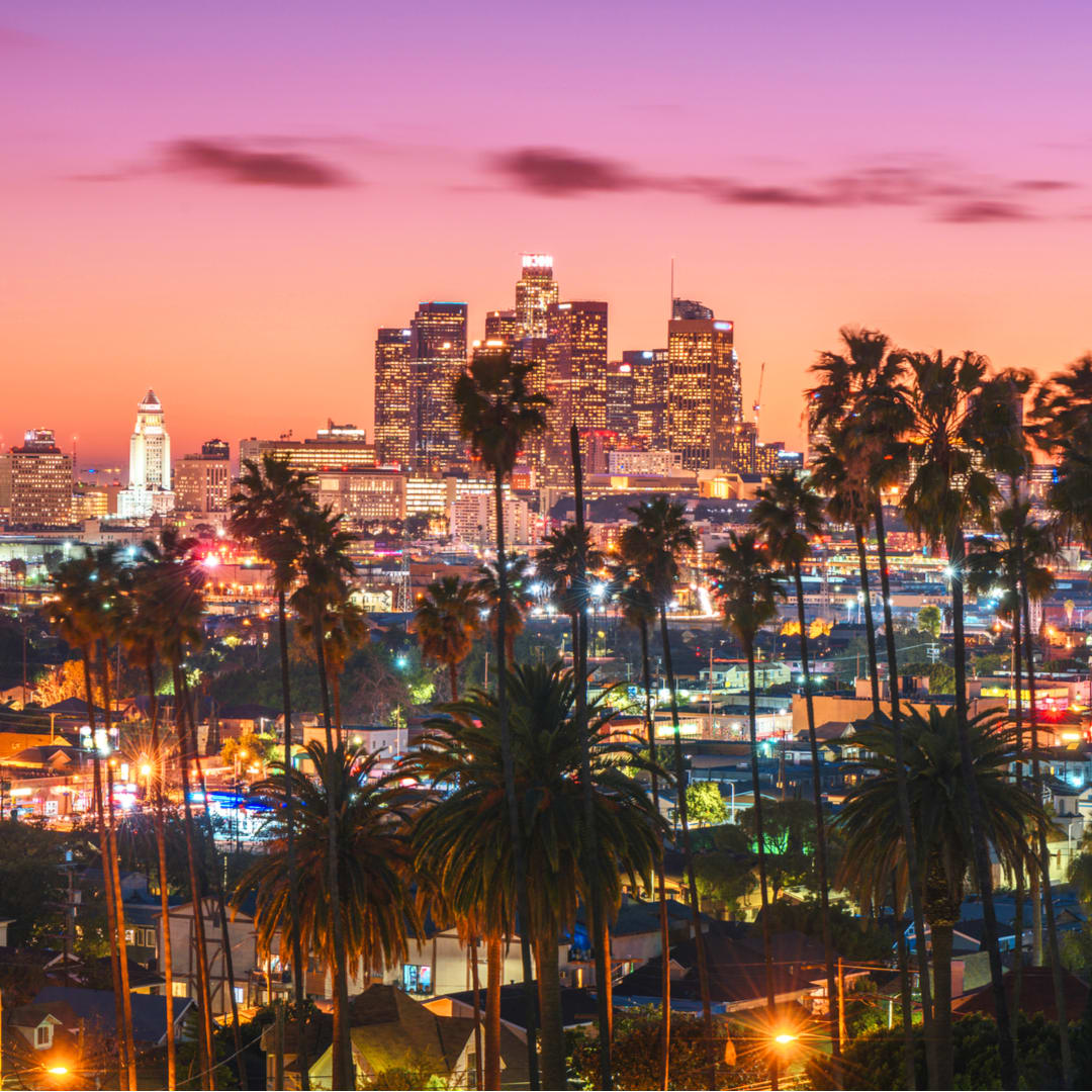 Image of City, Cityscape, Urban, Summer, Palm Tree, Tree, Metropolis, Downtown, Outdoors, Nature, Sky, Neighborhood,