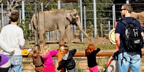 Image of Animal, Zoo, Child, Female, Girl, Person, Adult, Woman, Male, Man, Backpack, Bag, Handbag, 