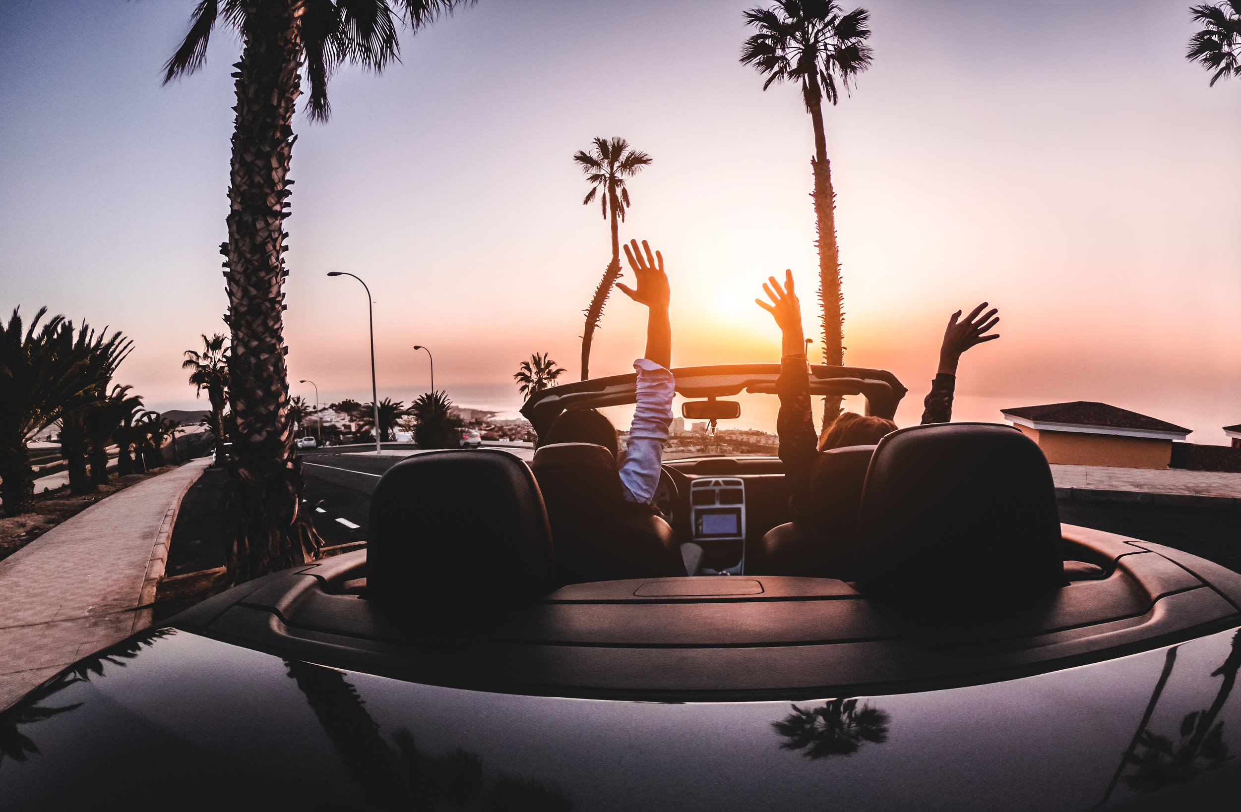 Image of Fun, Vacation, Tree, Summer, Nature, Outdoors, Sky, Adult, Male, Man, Person, Road Trip, Palm Tree, Car, Vehicle,