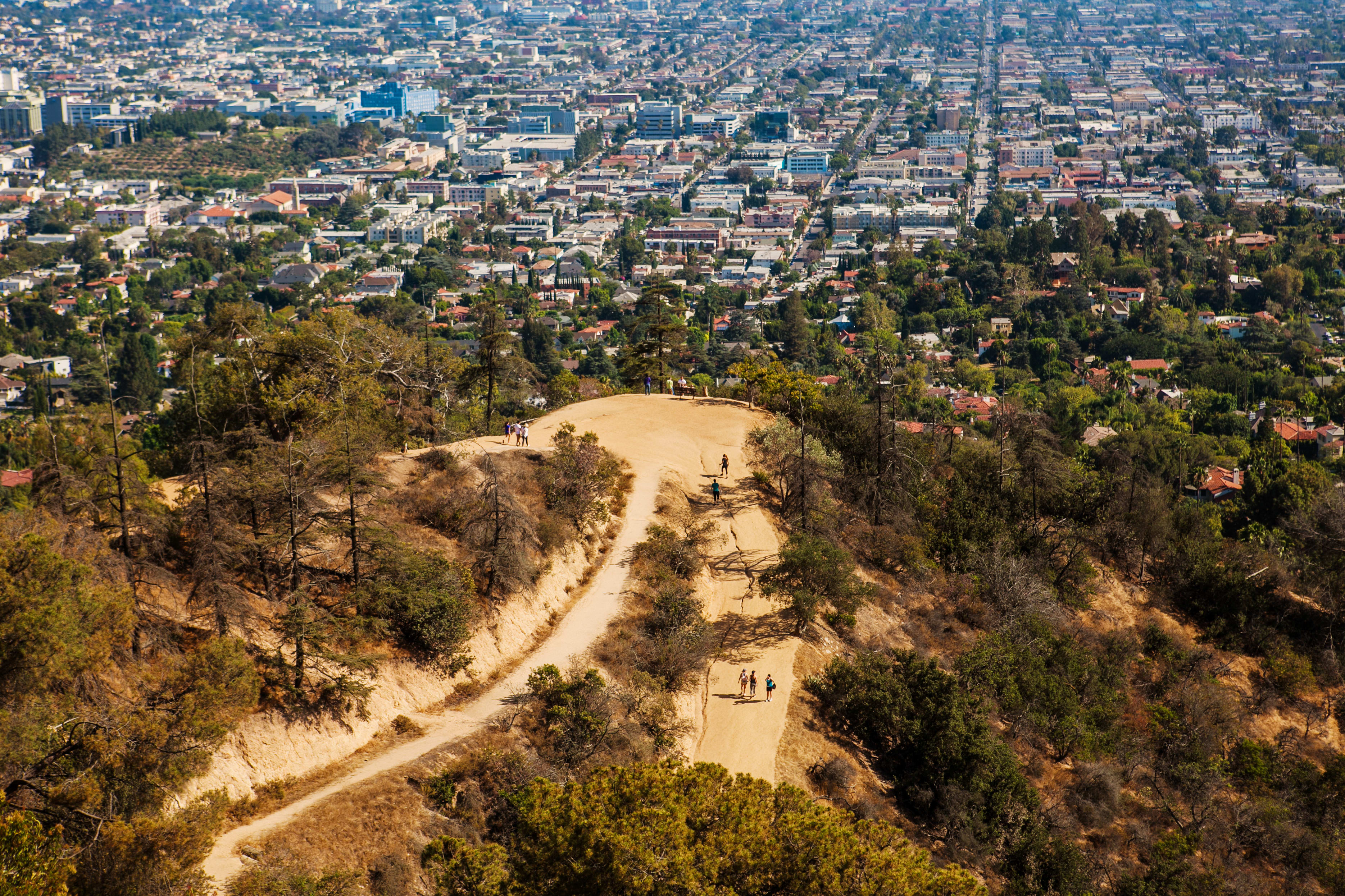 Image of Cityscape, Urban, Outdoors, Road, City, Aerial View, 