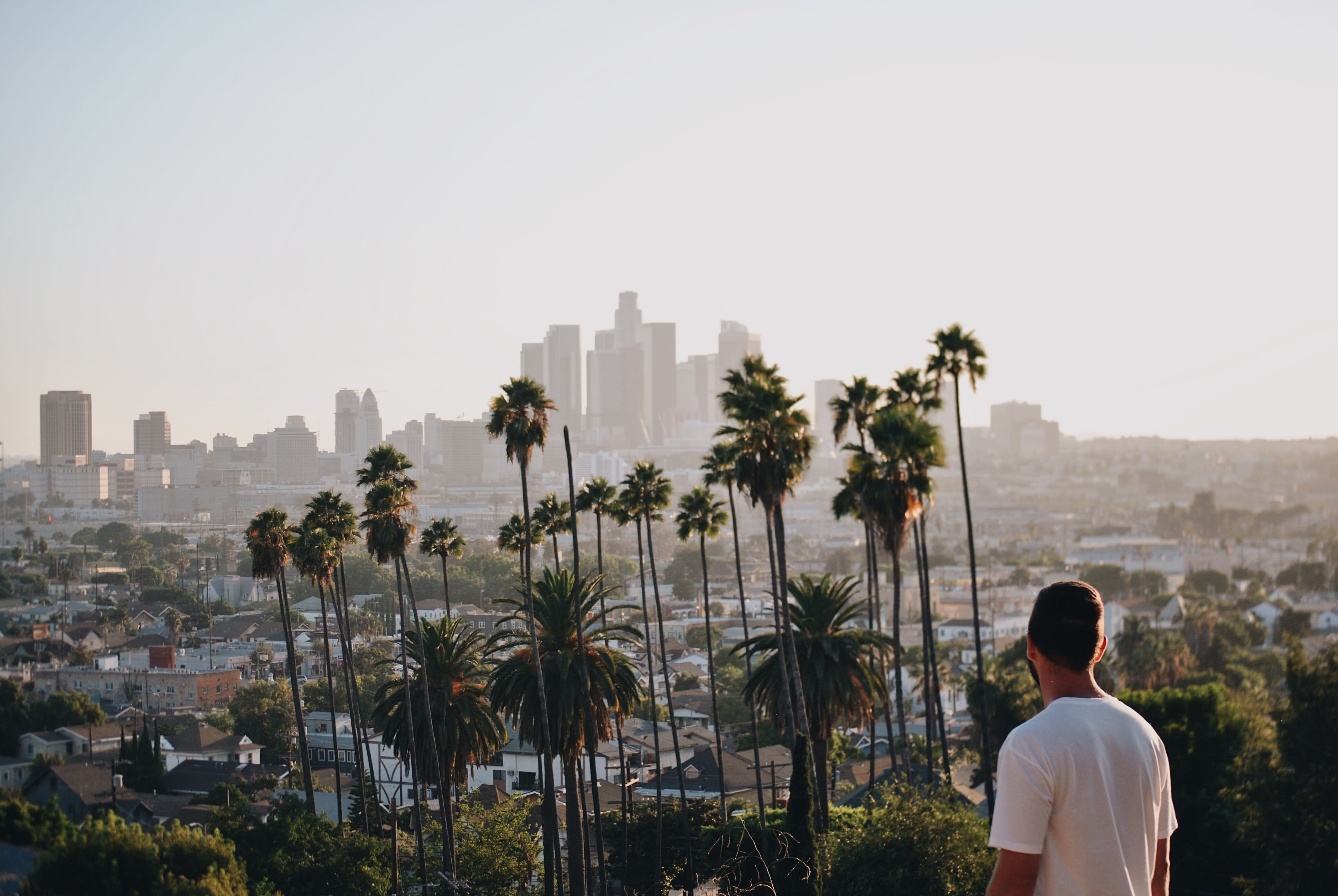 Image of Cityscape, Urban, City, Tree, Palm Tree, Metropolis, Adult, Male, Man, Person, Nature, Outdoors, Sky, High Rise, Neighborhood, 