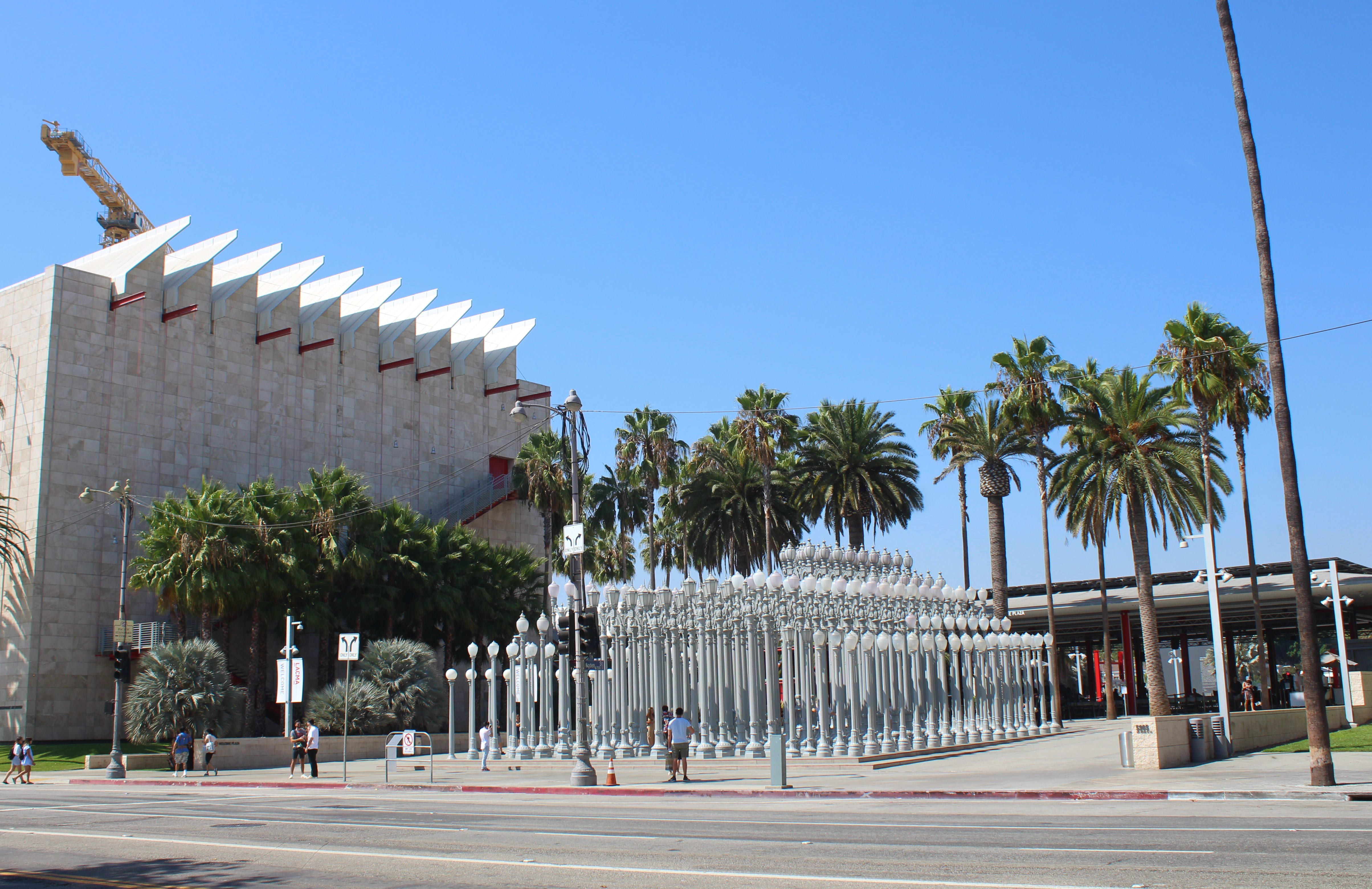 Image of Palm Tree, Tree, Summer, Convention Center, City, Person, Traffic Light, Urban, 