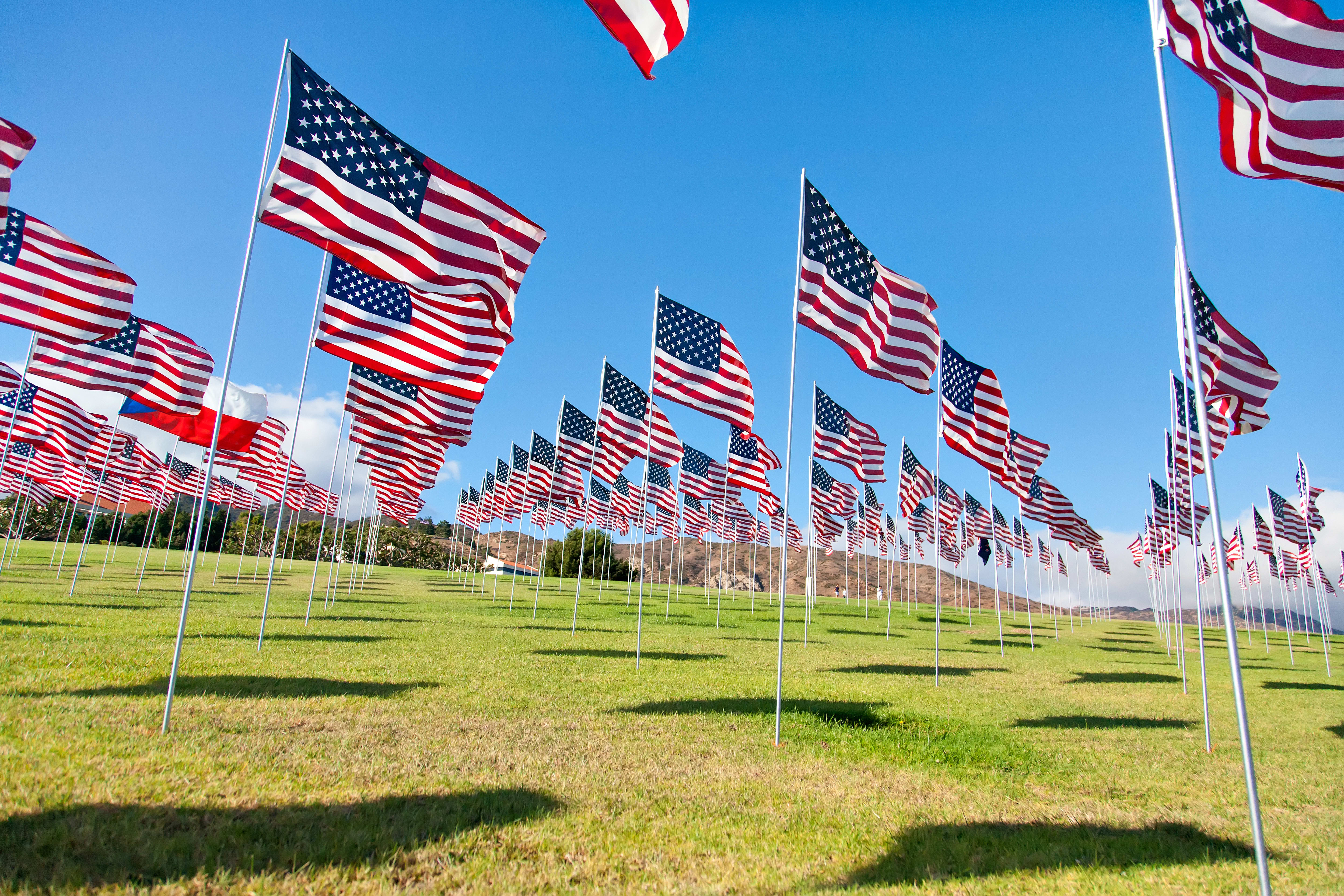 Image of American Flag, Flag, Grass, 