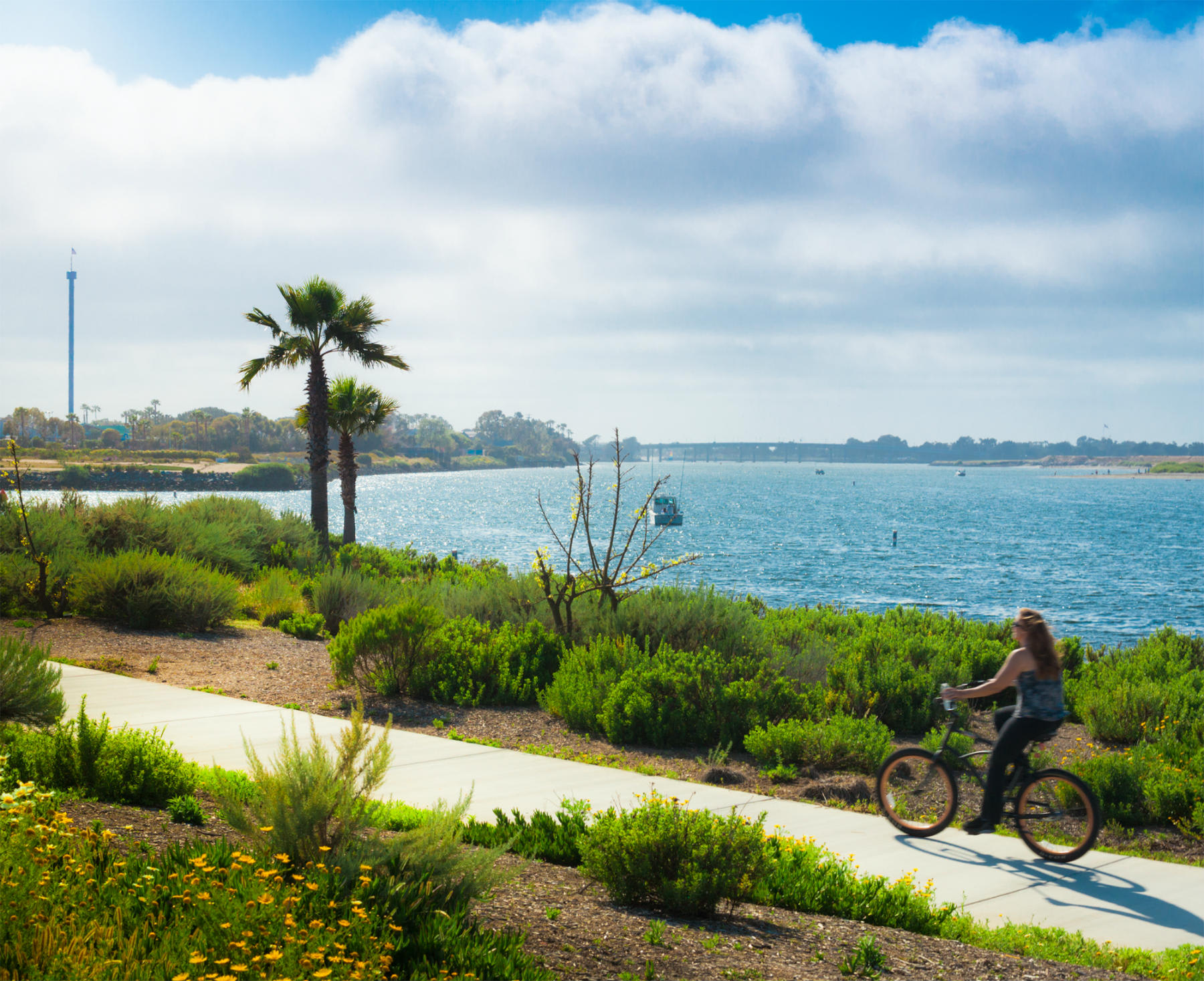 Image of Summer, Tree, Nature, Outdoors, Scenery, Palm Tree, Grass, Adult, Female, Person, Woman, Bicycle, Vehicle, Wheel, Vegetation, Path, 