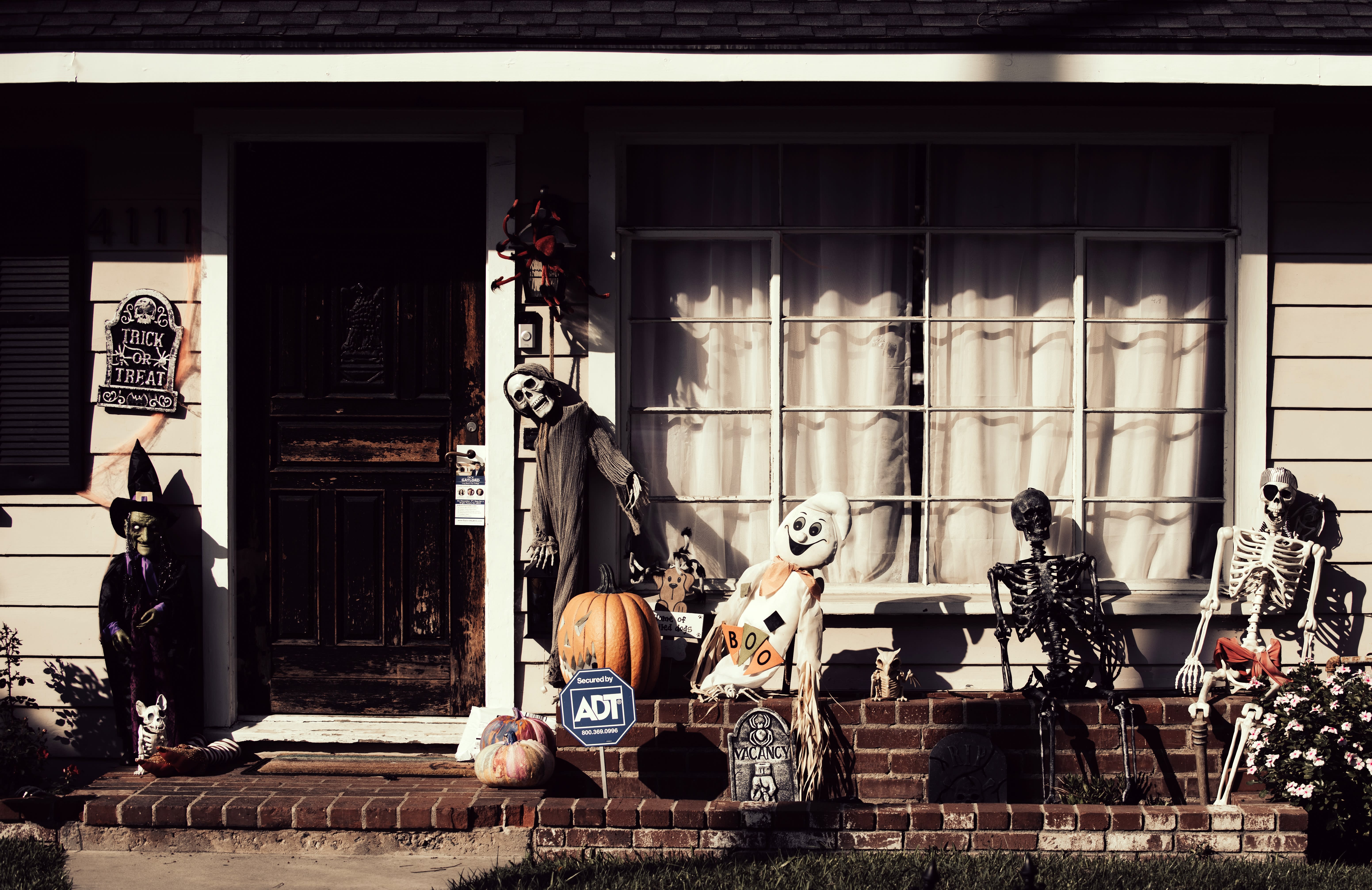 Image of Potted Plant, House, Housing, Porch, Adult, Male, Man, Person, 