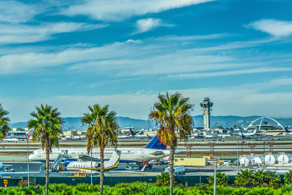 Image of Airport, Summer, Palm Tree, Tree, Airfield, Water, Waterfront, Aircraft, Airplane, Vehicle, Road, Cityscape, Urban, Airliner, City, 