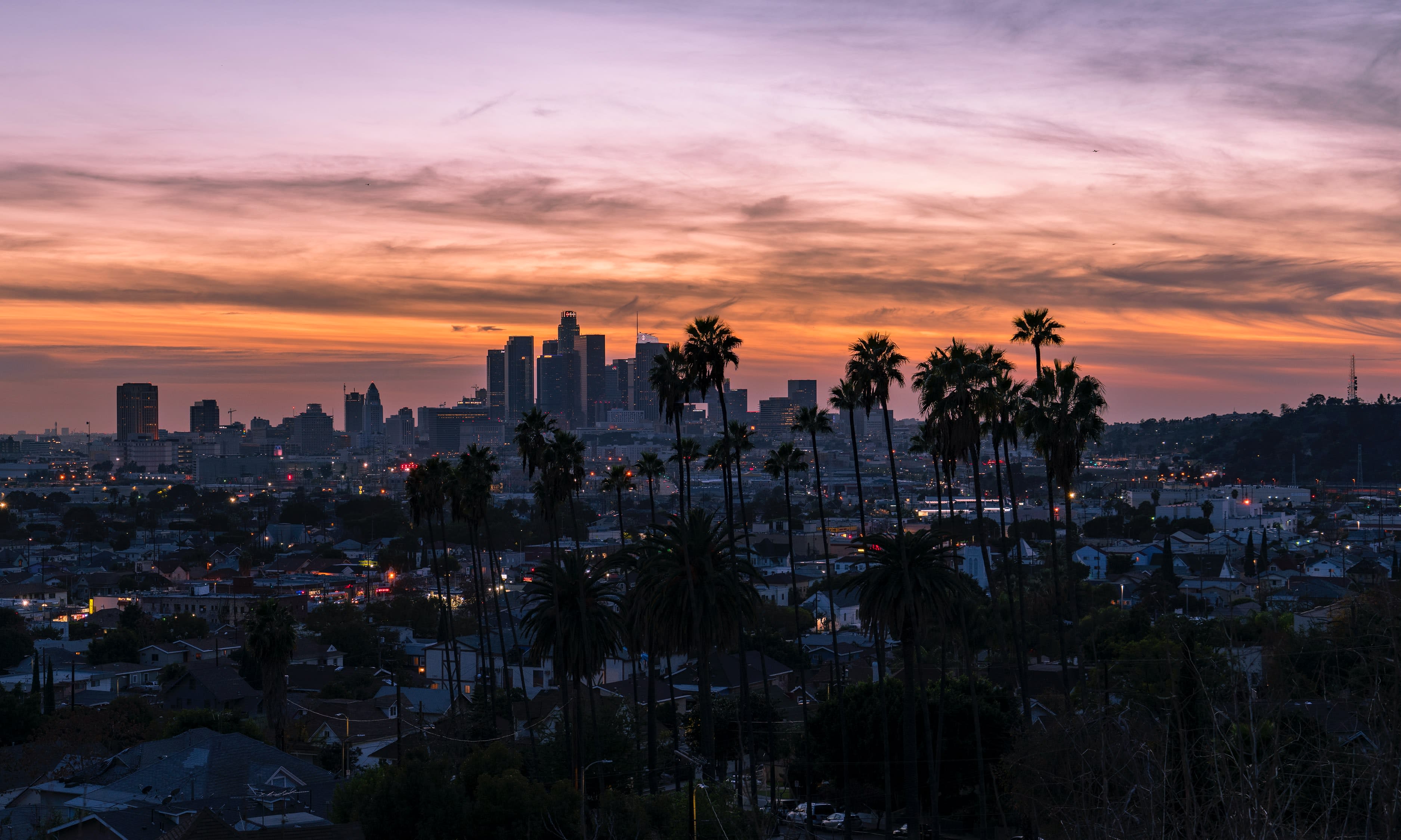 Image of Cityscape, Urban, City, Metropolis, Nature, Outdoors, Sky, Tree, Landscape, Palm Tree, Sunset, Scenery, Car, Neighborhood, Downtown, 