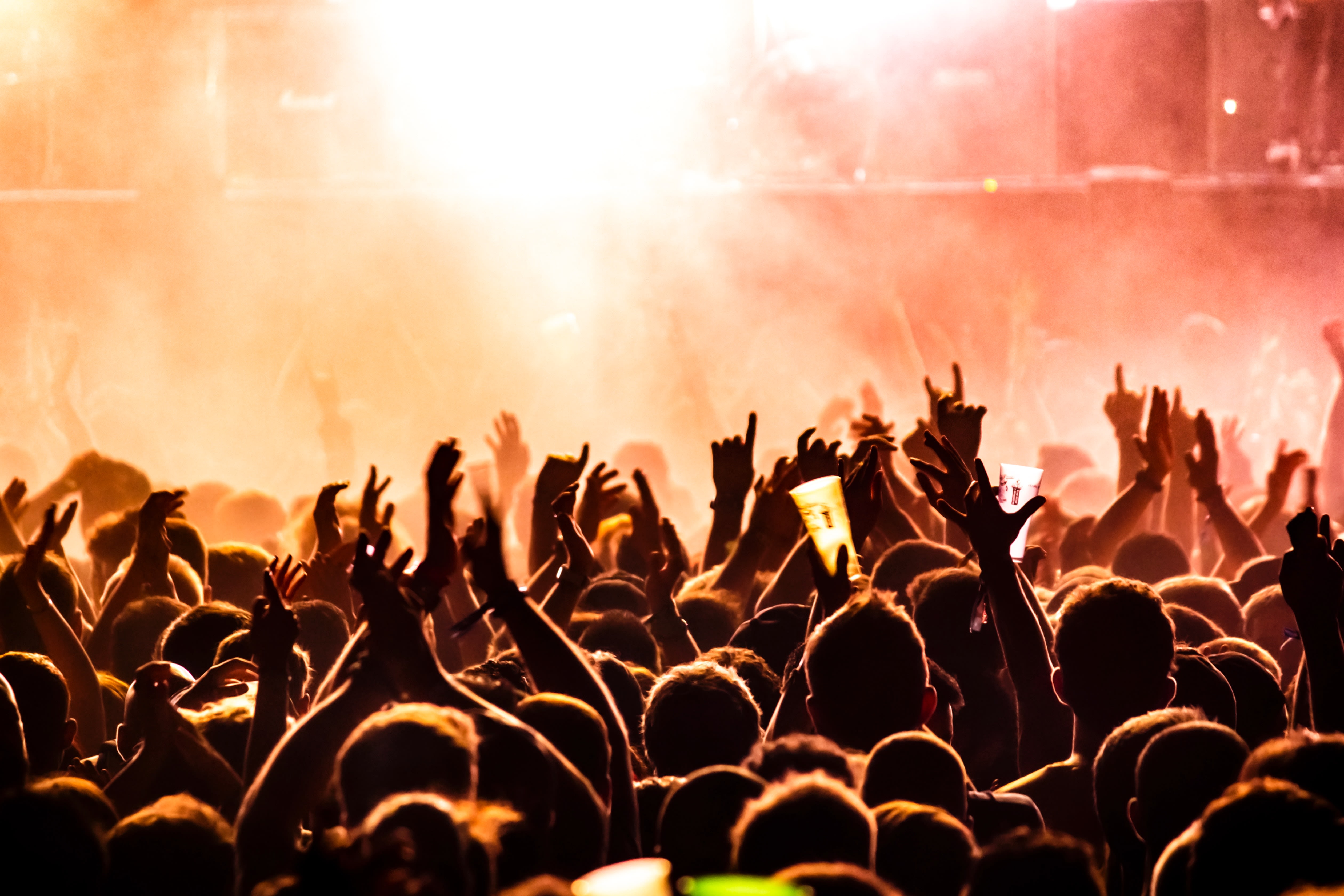 Image of Concert, Crowd, Person, Rock Concert, Urban, Cup, 