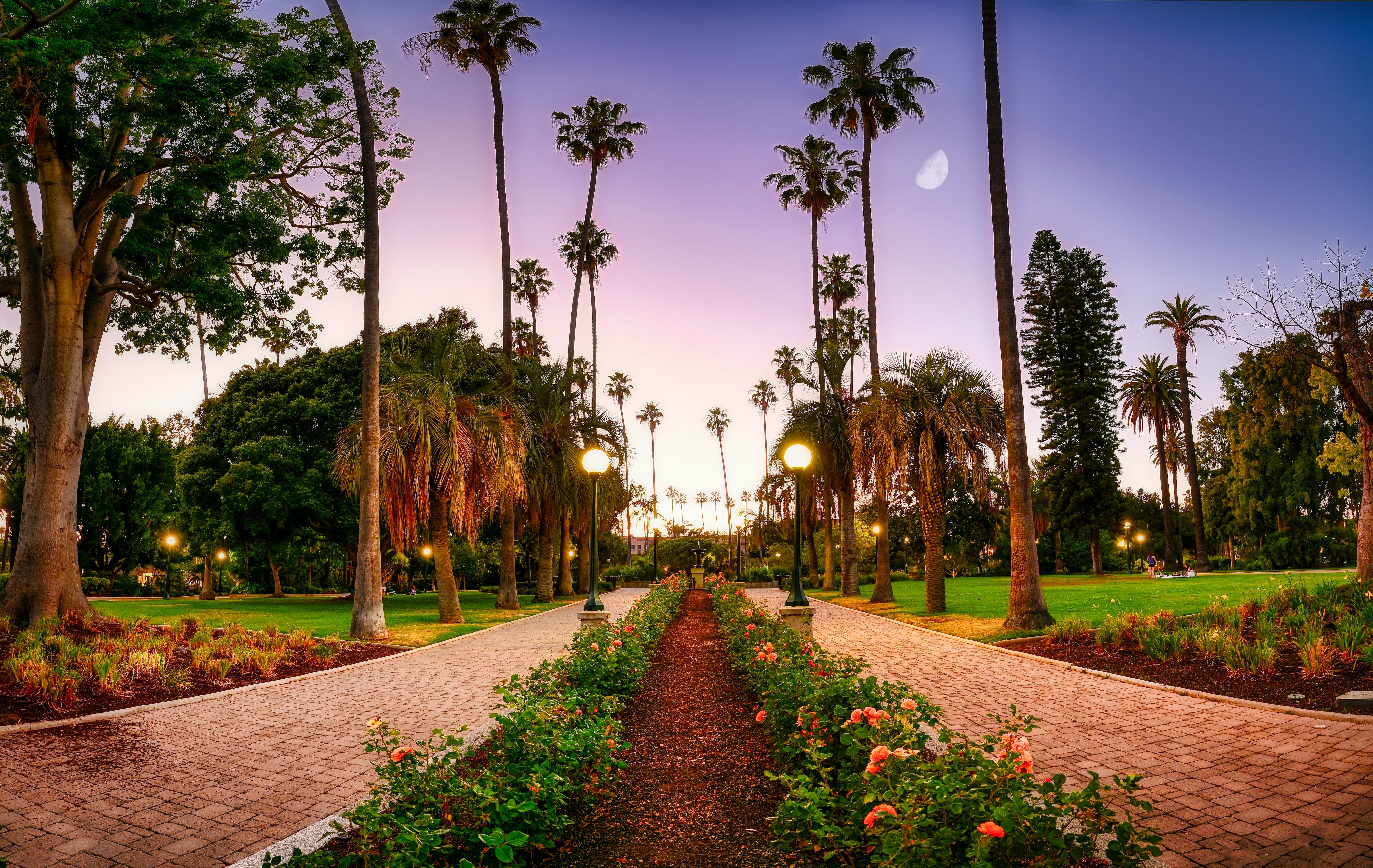 Image of Summer, Path, Grass, Nature, Outdoors, Park, Scenery, Tree, Landscape, City, Vegetation, Sidewalk, Palm Tree, Road, Sky, Street, Urban, Garden, Walkway, 