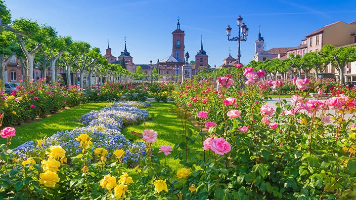 Image of Garden, Nature, Outdoors, Scenery, Landscape, Grass, Park, Spring, City, Panoramic, Cityscape, Urban, Neighborhood, Car, Flower, Geranium, 