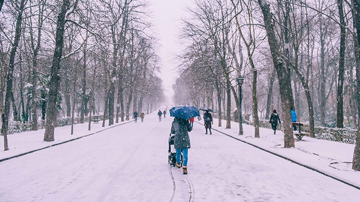 Image of Coat, Person, Nature, Outdoors, Walking, Bench, Winter, 