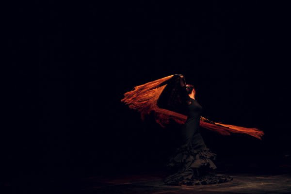 Image of Dancing, Person, Performer, Solo Performance, Dance Pose, Flamenco, 