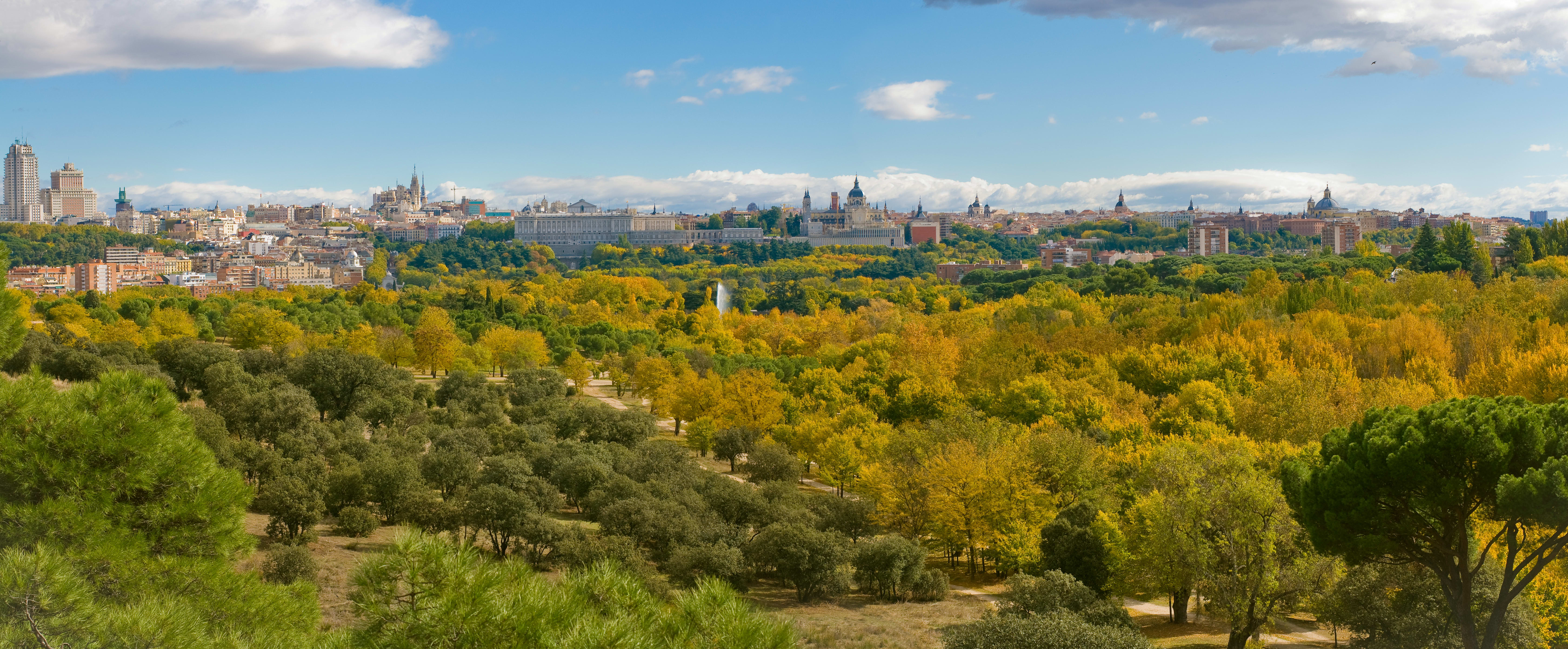 Image of Fir, Tree, Landscape, Nature, Outdoors, Scenery, Cityscape, Urban, Vegetation, City, Sky, Panoramic, Grass, 