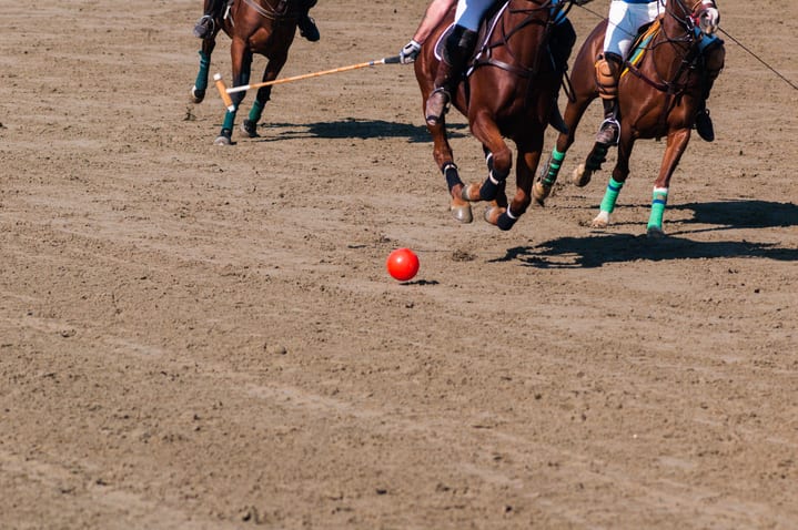 Image of People, Person, Animal, Equestrian, Horse, Mammal, Team, Team Sport, Polo, Adult, Male, Man, 