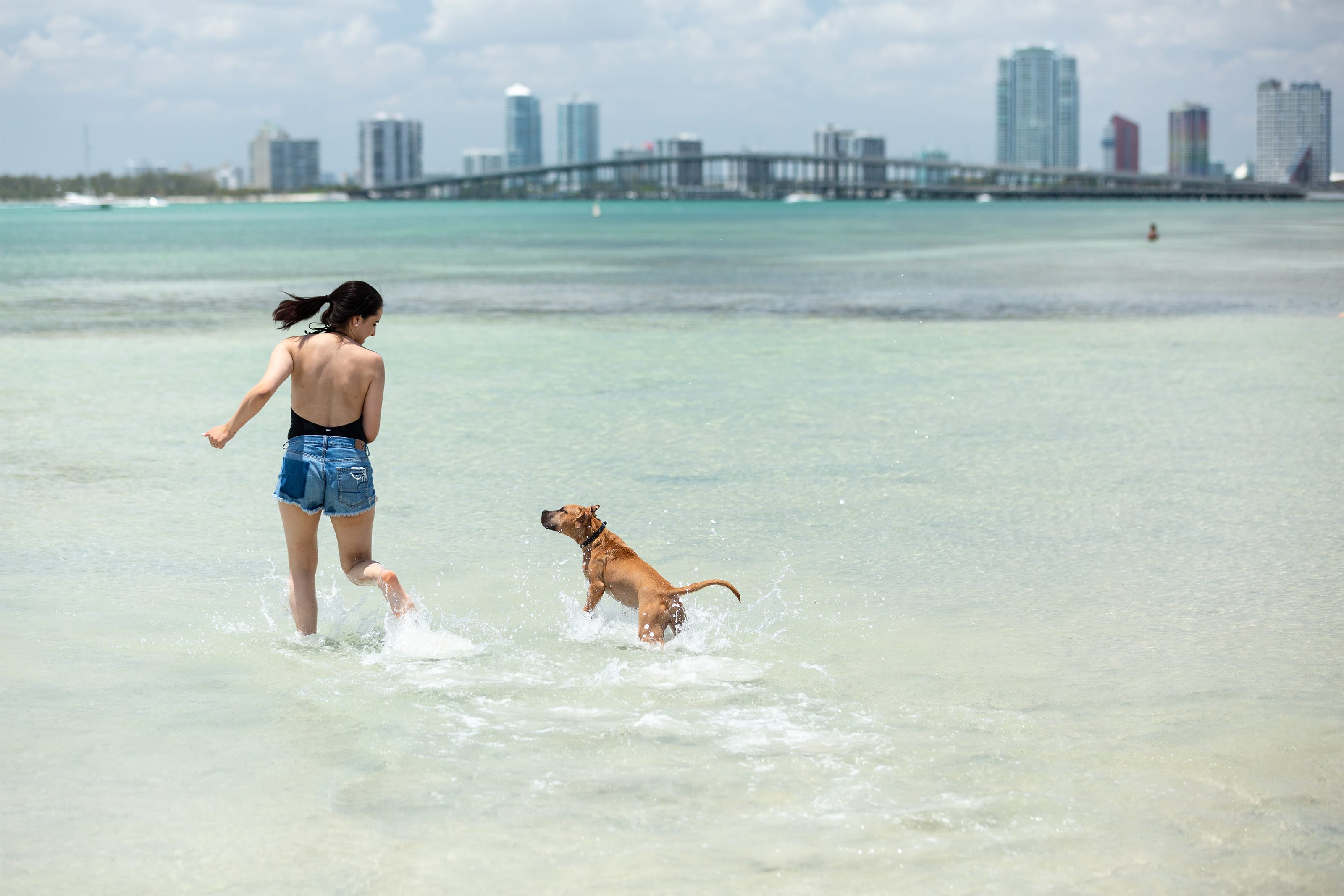 Image of Shorts, Back, Person, Adult, Female, Woman, Summer, Animal, Canine, Dog, Mammal, Pet, Water, Waterfront, Nature, Outdoors, Sea, Swimwear, Beach, Coast, Shoreline, City,