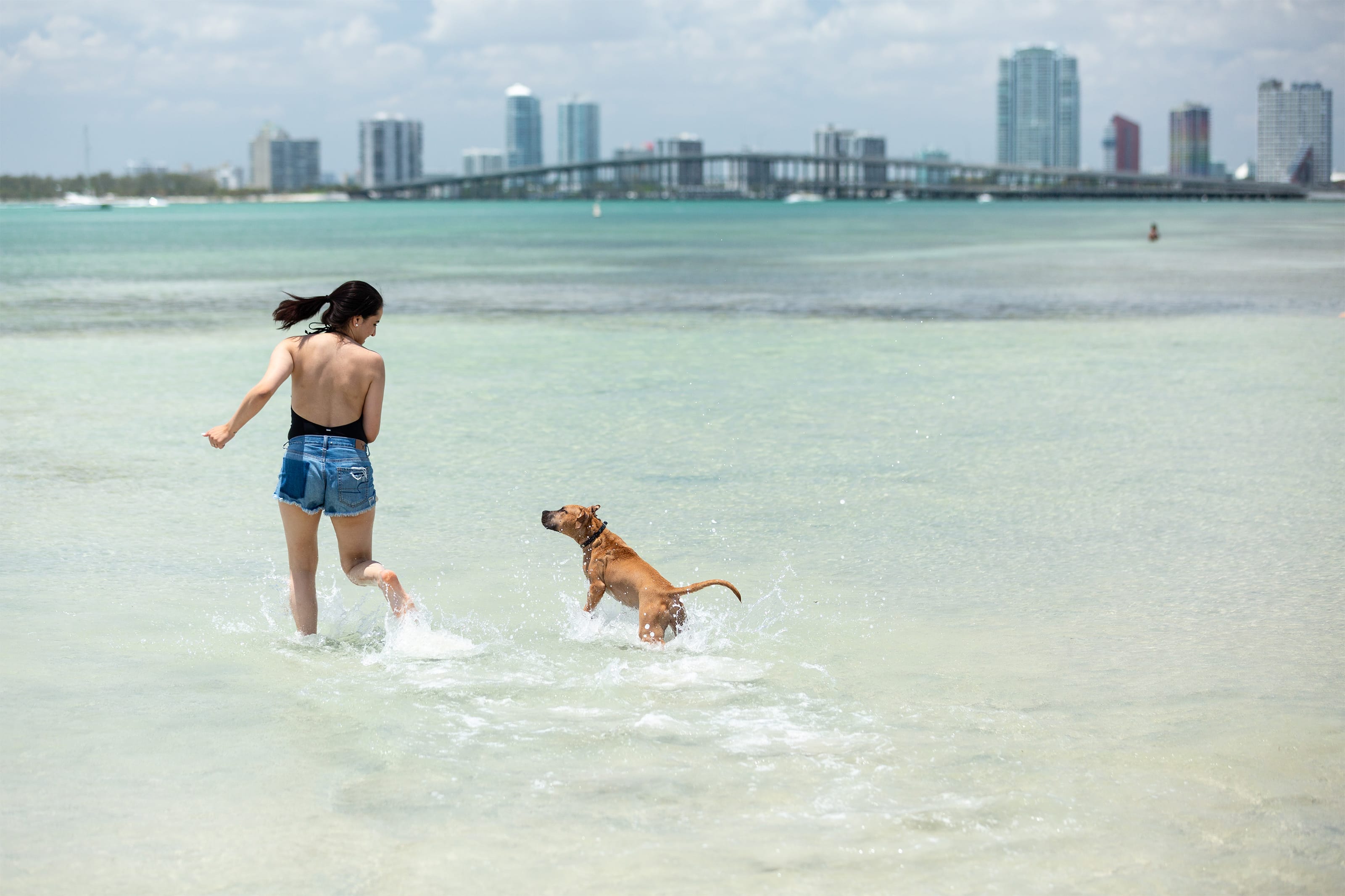 Image of Shorts, Back, Person, Adult, Female, Woman, Summer, Animal, Canine, Dog, Mammal, Pet, Water, Waterfront, Nature, Outdoors, Sea, Swimwear, Beach, Coast, Shoreline, City, 