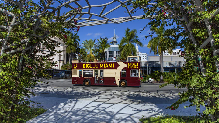 Image of Garden, Nature, Outdoors, Bus, Vehicle, Car, Person, City, Arbour, Tree, 