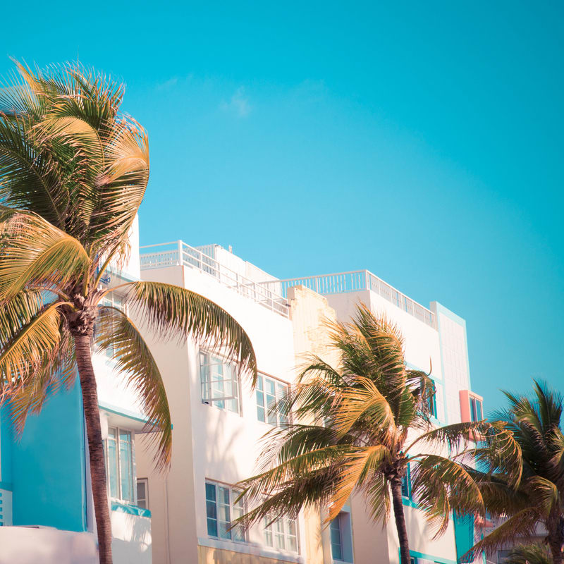 Image of Summer, Tree, Building, Palm Tree, City, House, Housing, Villa, Condo, Nature, Outdoors, Sky, Urban, 