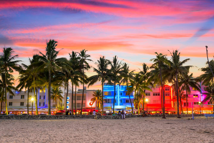 Image of Summer, Palm Tree, Tree, Nature, Outdoors, Tropical, Sky, Hotel, Person, Bench, Cityscape, Urban, Scenery, City, Beach, Coast, Sea, Shoreline, Water, 