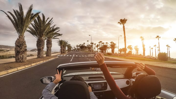 Image of Fun, Vacation, Tree, Palm Tree, Adult, Female, Person, Woman, Male, Man, Road Trip, Car, Vehicle, Baby, 