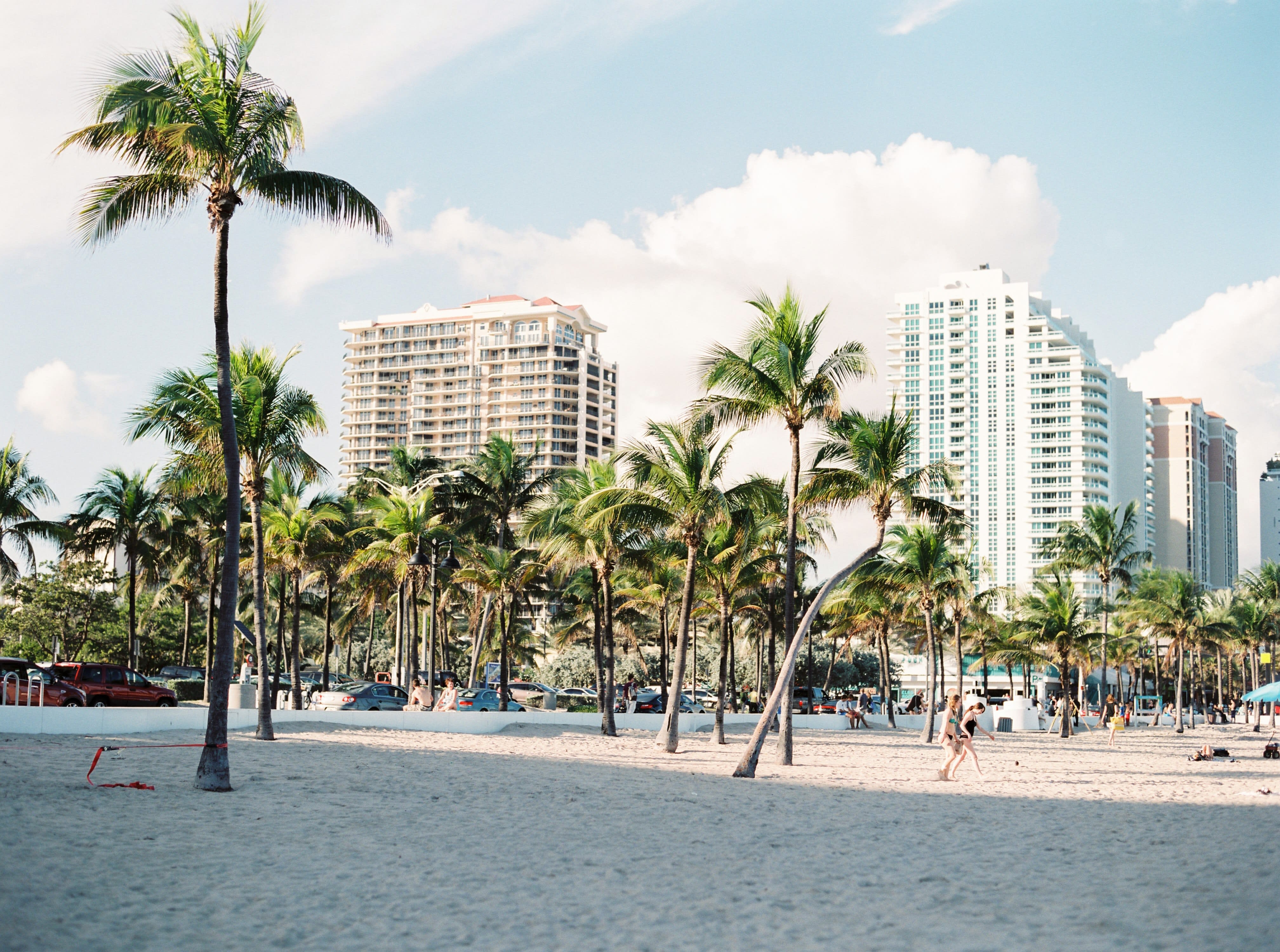 Image of Summer, City, Building, Condo, Housing, Urban, Palm Tree, Tree, High Rise, Cityscape, Nature, Outdoors, Person, Car, Metropolis, Beach, Coast, Sea, Shoreline, Water, Waterfront,