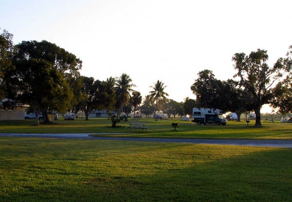 Image of Grass, Nature, Outdoors, Park, Field, Truck, Vehicle, Grove, Land, Tree, Vegetation, Woodland, Lawn, Desk, Car, Airport, Ground, 