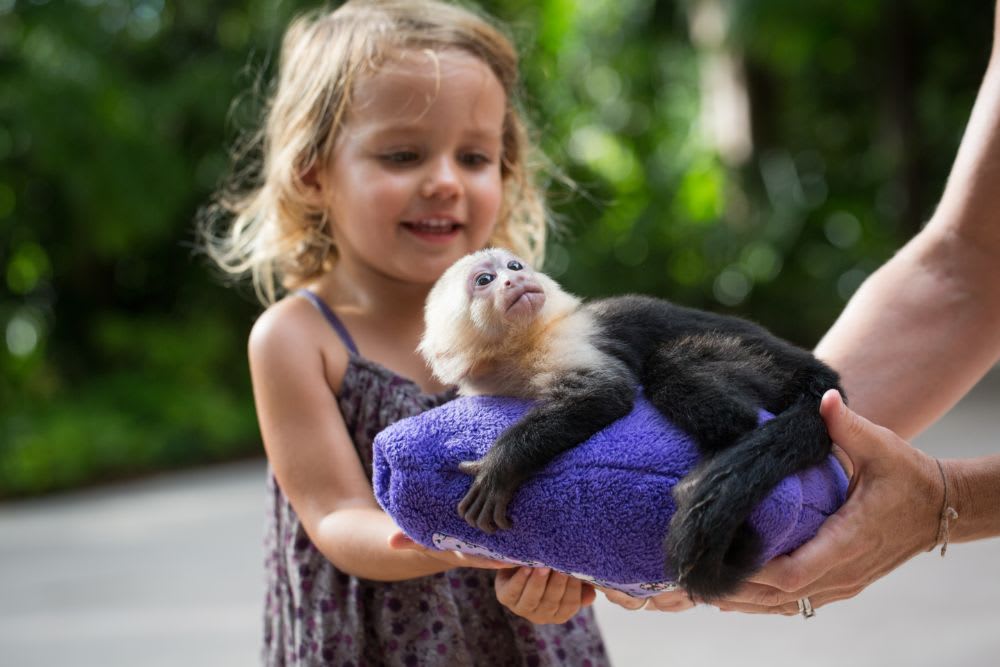 Image of Animal, Zoo, Face, Head, Person, Photography, Portrait, Child, Female, Girl, 