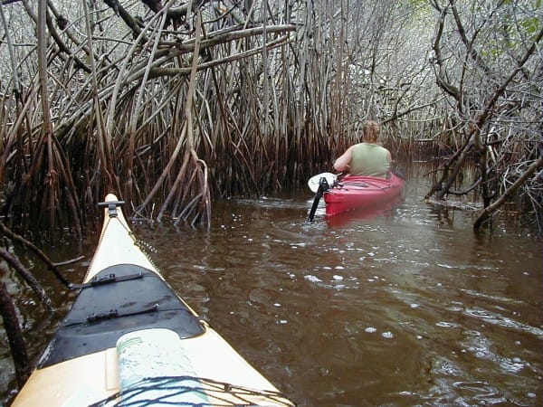 Image of Boat, Vehicle, Adult, Female, Person, Woman, Water, Rowboat, Canoe, Kayak, 