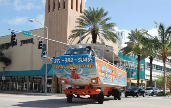 Image of Palm Tree, Tree, Car, Vehicle, Traffic Light, Truck, City, 