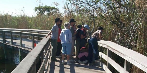 Image of Boardwalk, Bridge, Path, Water, Waterfront, Hat, Person, Walking, Adult, Male, Man, Vegetation, Shoe, Bag, Handbag, 