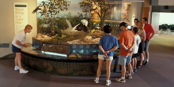 Image of Adult, Male, Man, Person, Indoors, Museum, Female, Woman, Shoe, Hat, Shorts, Animal, Bird, 