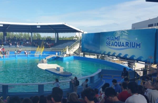 Miami Seaquarium Discount Tickets - Save Up to 55% Off