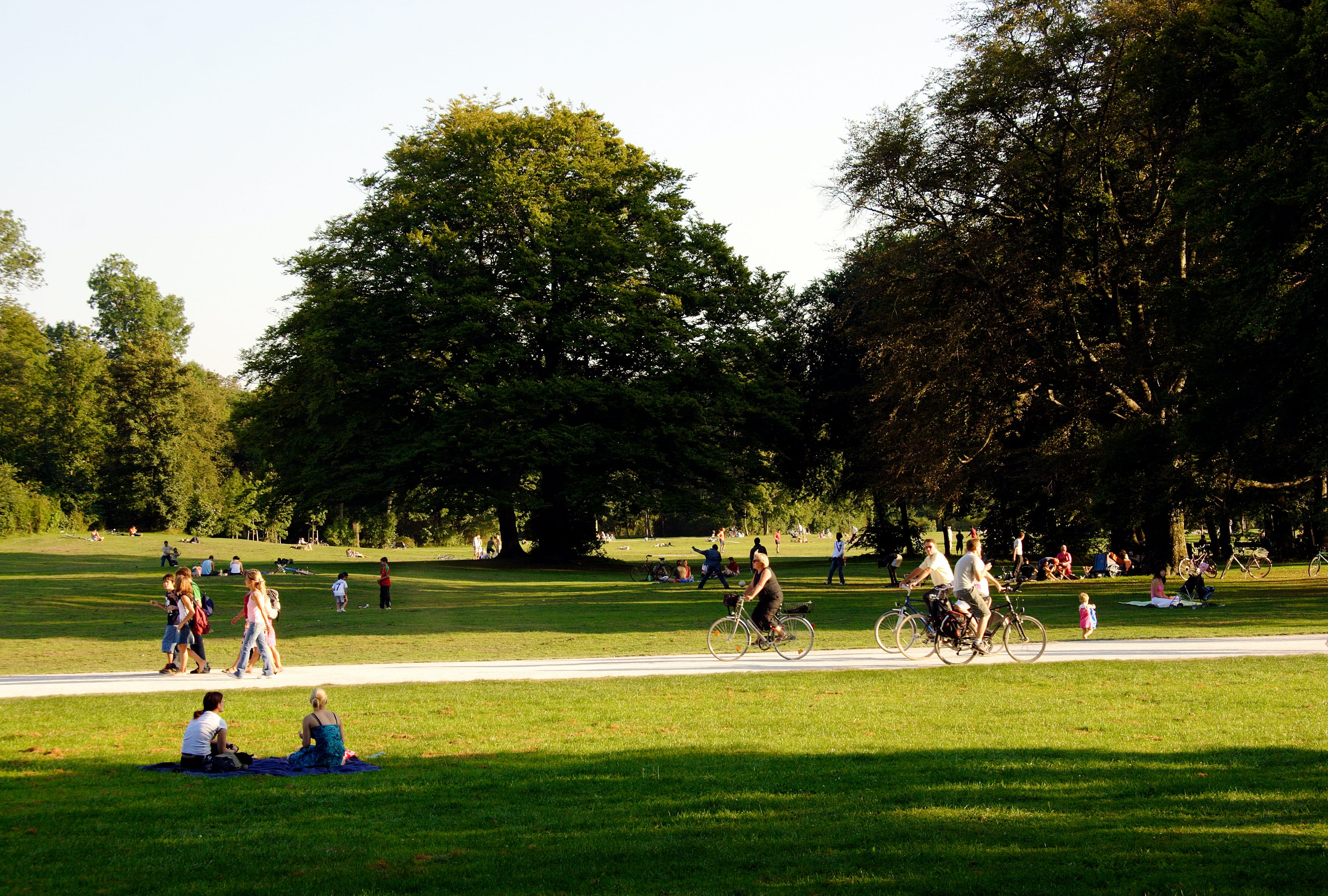 Image of Grass, Nature, Outdoors, Park, Grove, Land, Tree, Vegetation, Woodland, Person, Walking, Lawn, Bicycle, Vehicle, People, Scenery, Summer, 