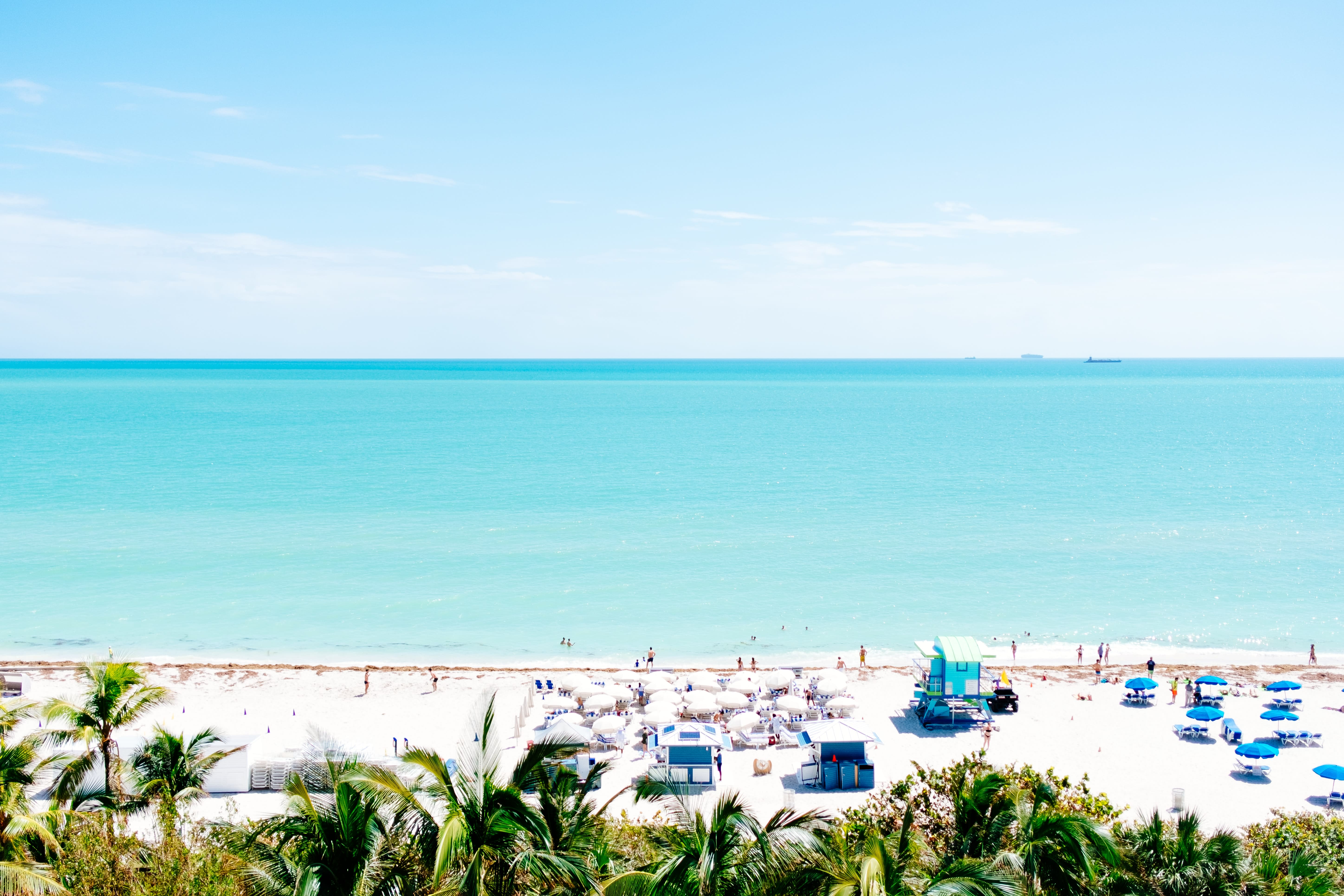 Image of Summer, Horizon, Nature, Outdoors, Sky, Beach, Coast, Sea, Shoreline, Water, Scenery, Tree, Palm Tree, 