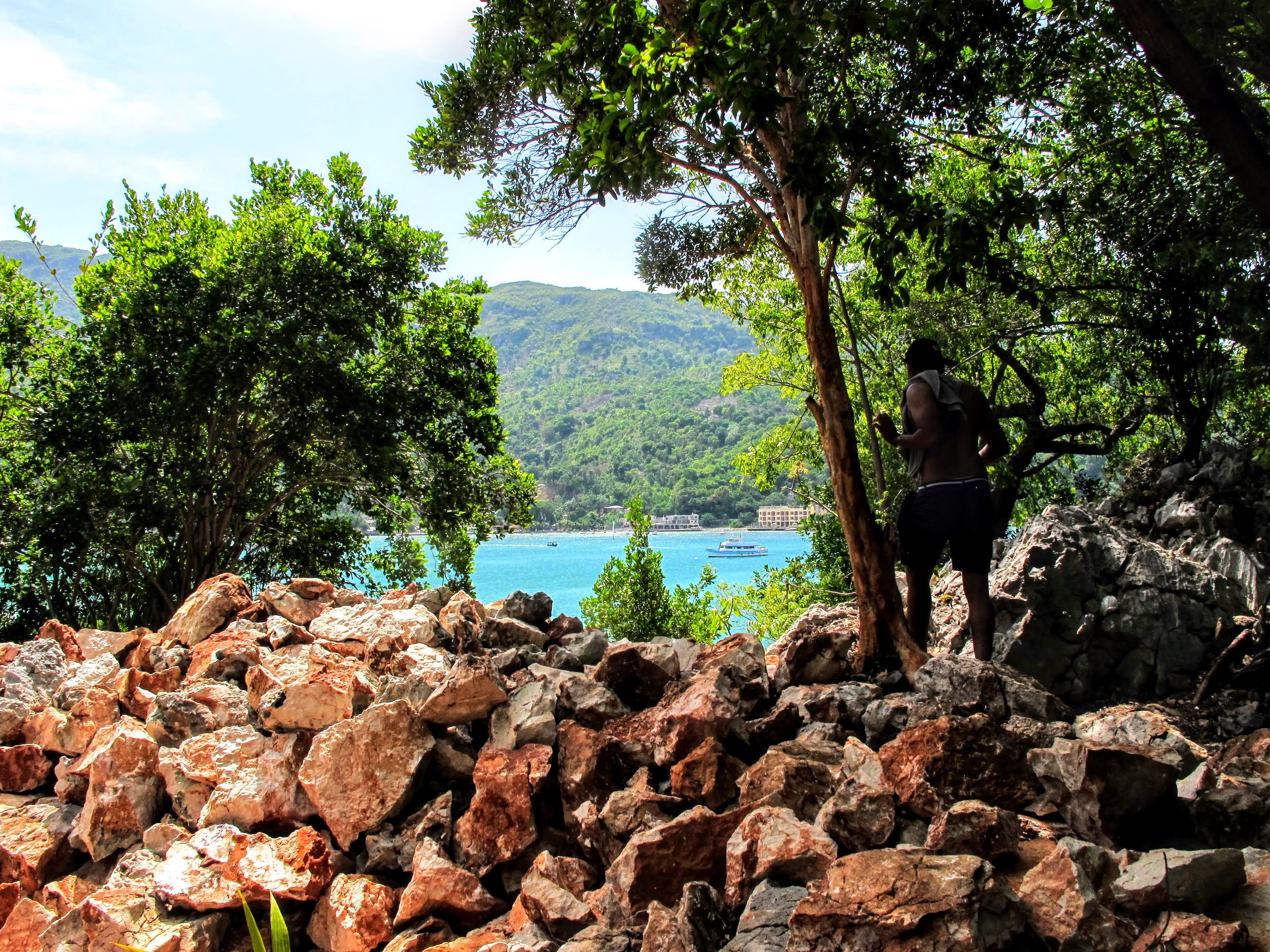 Image of Jungle, Land, Nature, Outdoors, Rainforest, Rock, Tree, Vegetation, Wilderness, Grove, Woodland, Landscape, Summer, Scenery, Rubble, Photography, Soil, Adventure, Hiking, Person, Adult, Male, Man, Herbal, Portrait, Oak, Sea, Water, Green, Lake, Leaf, 