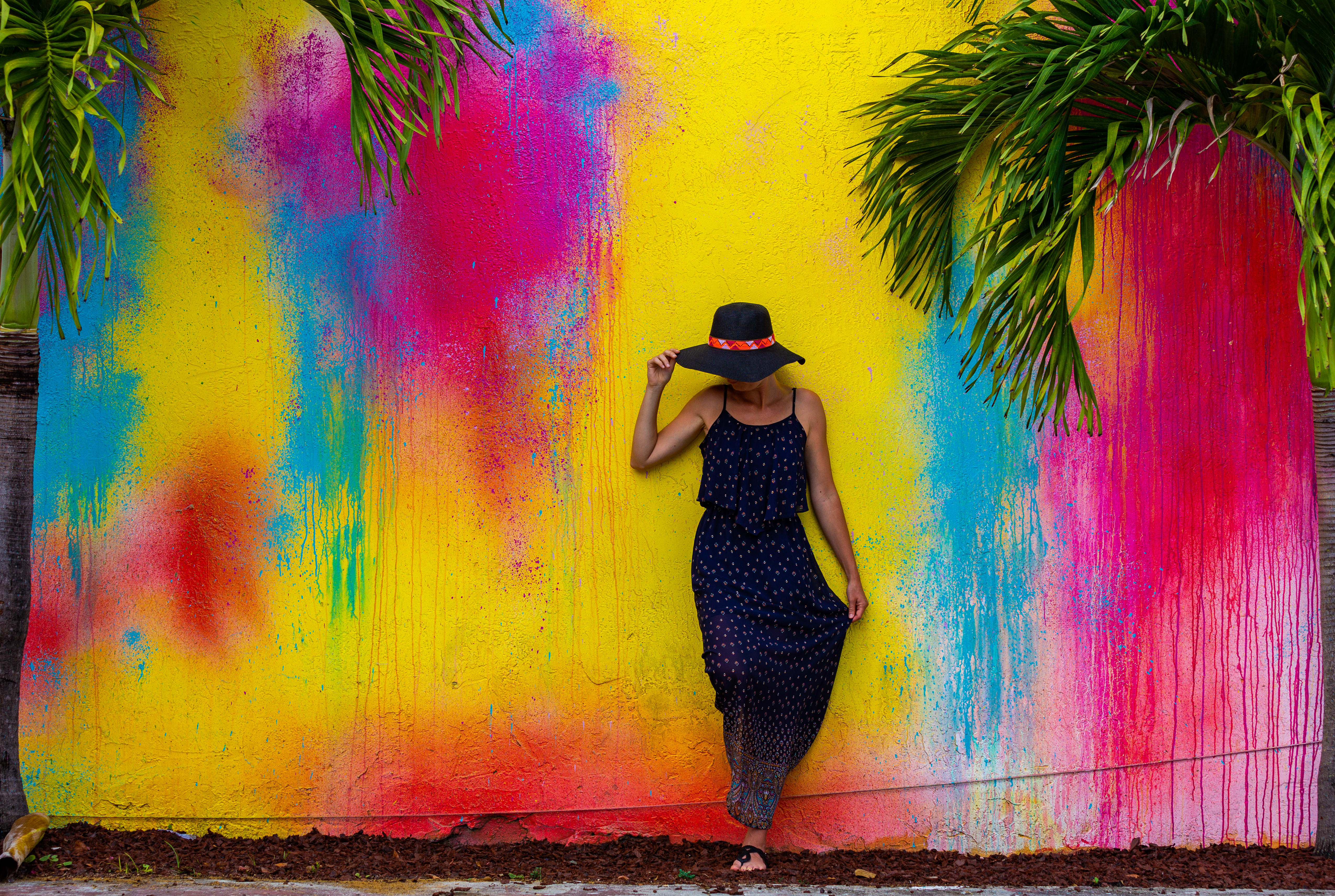 Image of Hat, Adult, Female, Person, Woman, Sun Hat, Art, Painting, Back, Photography, Dress, 