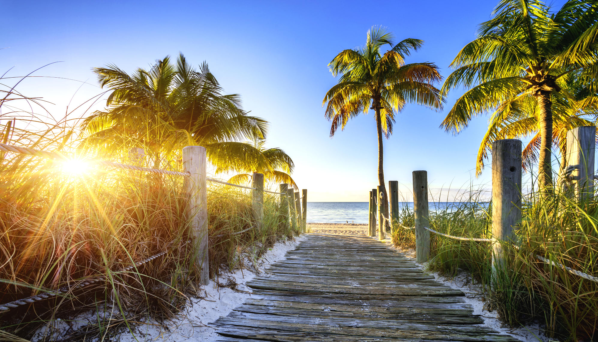 Image of Summer, Water, Waterfront, Boardwalk, Bridge, Path, Nature, Outdoors, Sky, Scenery, Flare, Light, Port, Pier, Tree, 