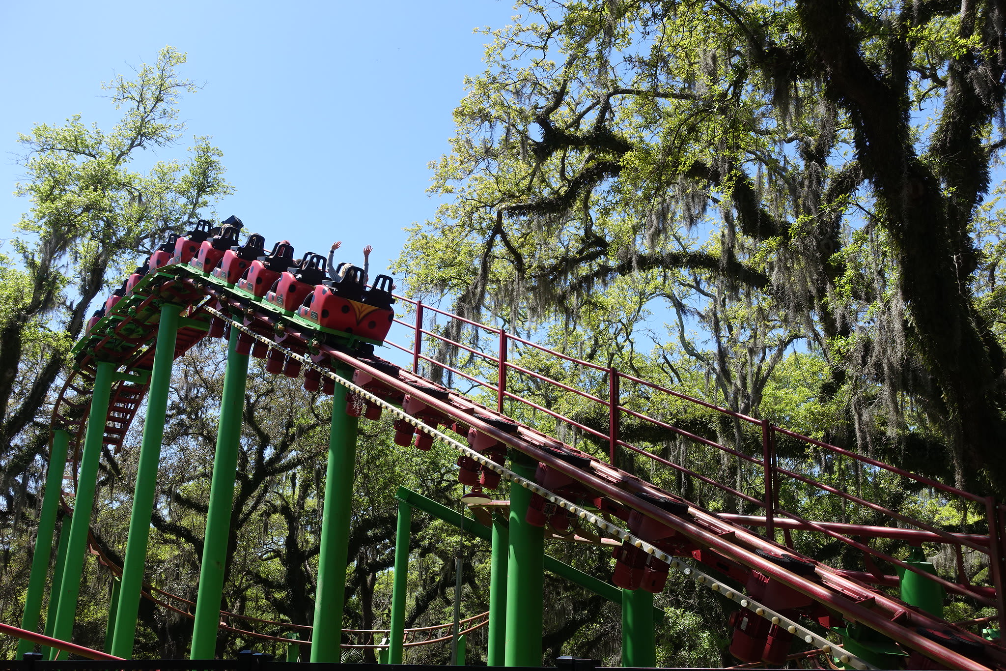 Image of Amusement Park, Fun, Roller Coaster, 