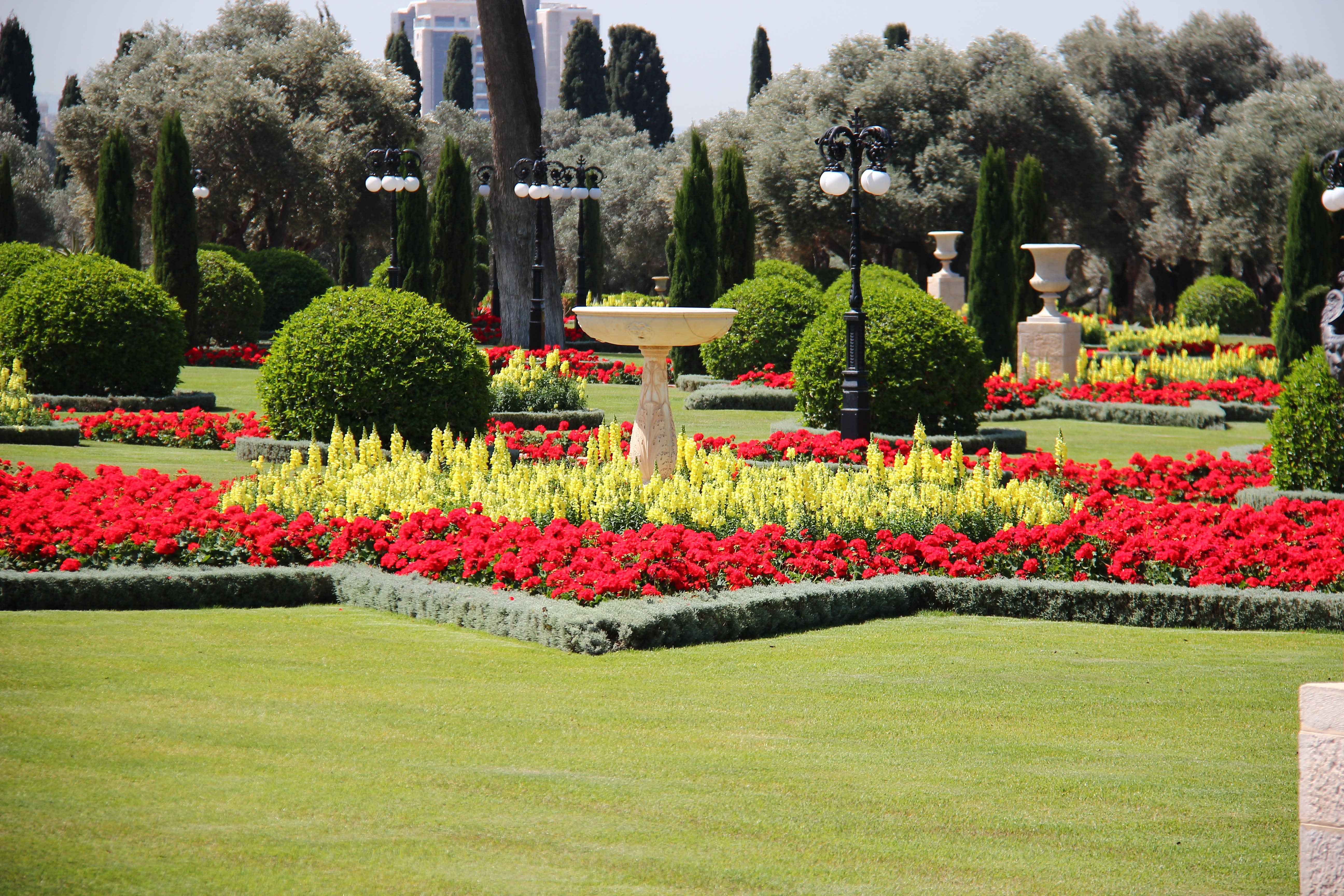 Image of Grass, Nature, Outdoors, Park, Garden, Lawn, Tree, Vegetation, Person, Fence, Hedge, Flower, 