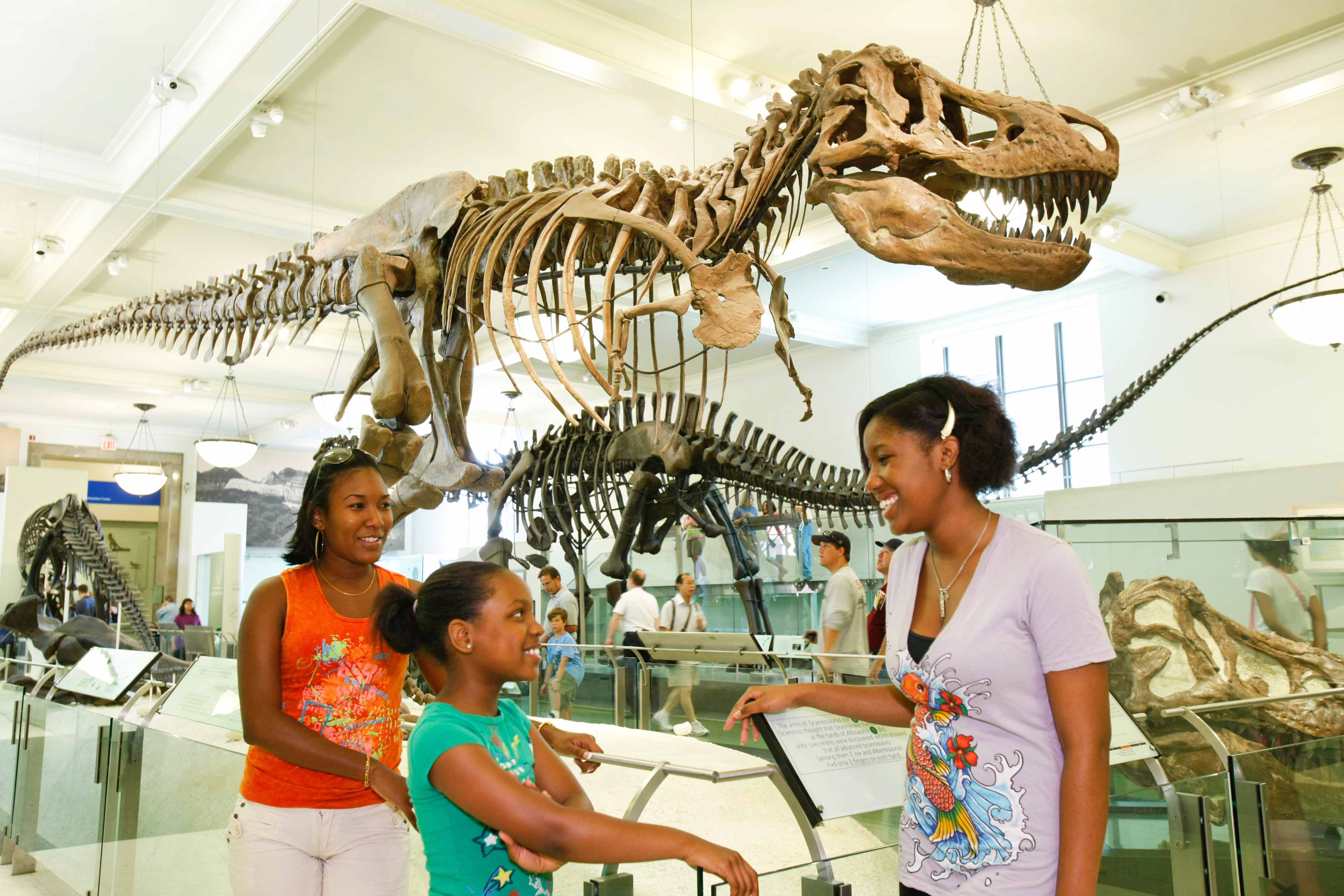 Image of Indoors, Museum, Adult, Female, Person, Woman, Child, Girl, Necklace, Lamp, Animal, Dinosaur, Hat, 