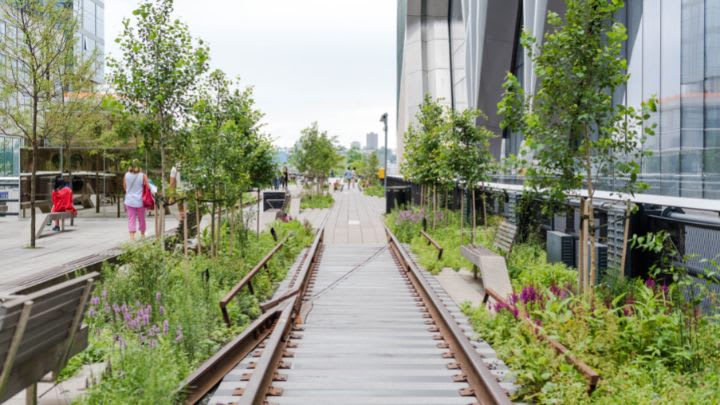 Image of City, Garden, Nature, Outdoors, Path, Person, Walking, Scenery, Handbag, Urban, Walkway, Terminal, 