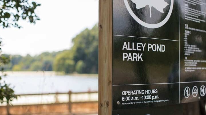 Image of Sign, Symbol, Advertisement, Blackboard, Vegetation, Outdoors, 