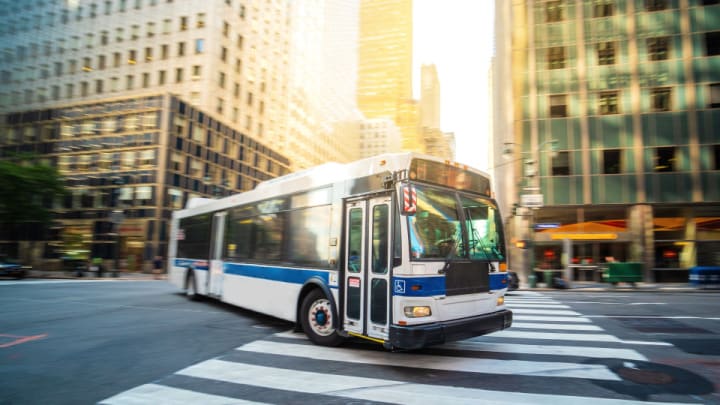 Image of Bus, Vehicle, City, Metropolis, Urban, Car, 